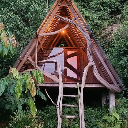Jungle Roots Hotel Tena Kültér fotó