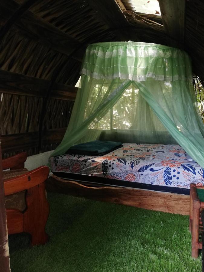 Jungle Roots Hotel Tena Kültér fotó