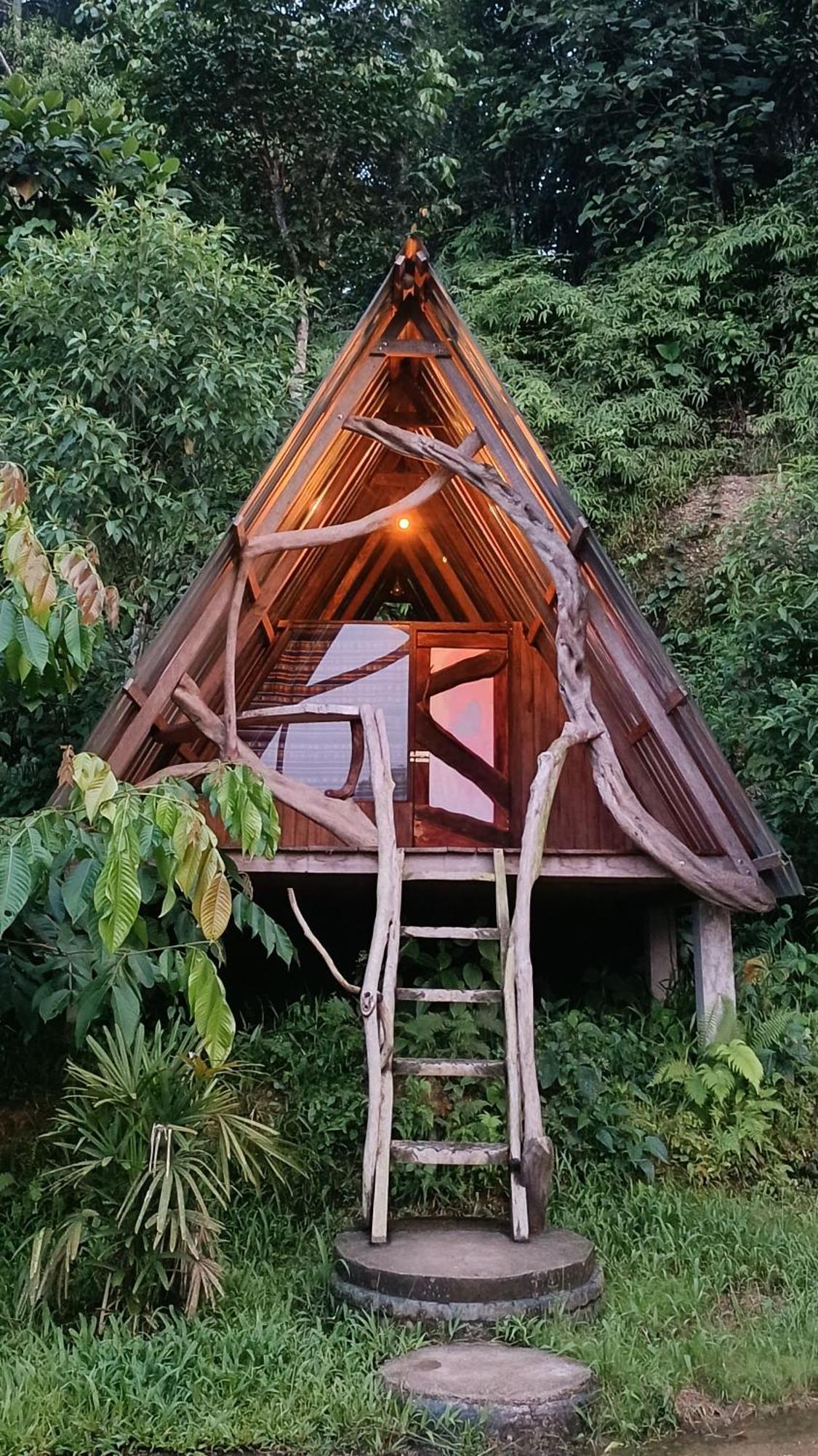 Jungle Roots Hotel Tena Kültér fotó