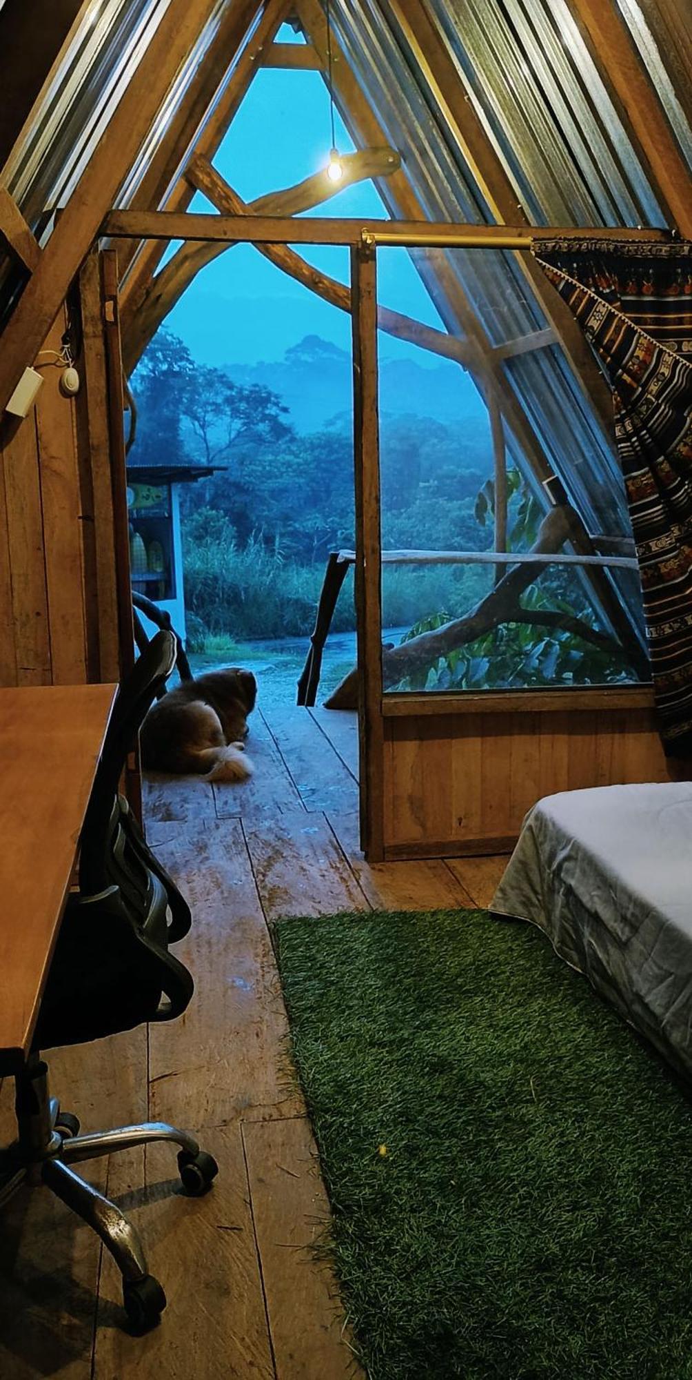 Jungle Roots Hotel Tena Szoba fotó