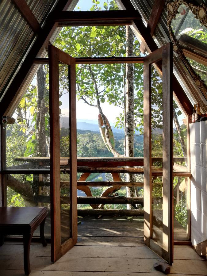 Jungle Roots Hotel Tena Kültér fotó