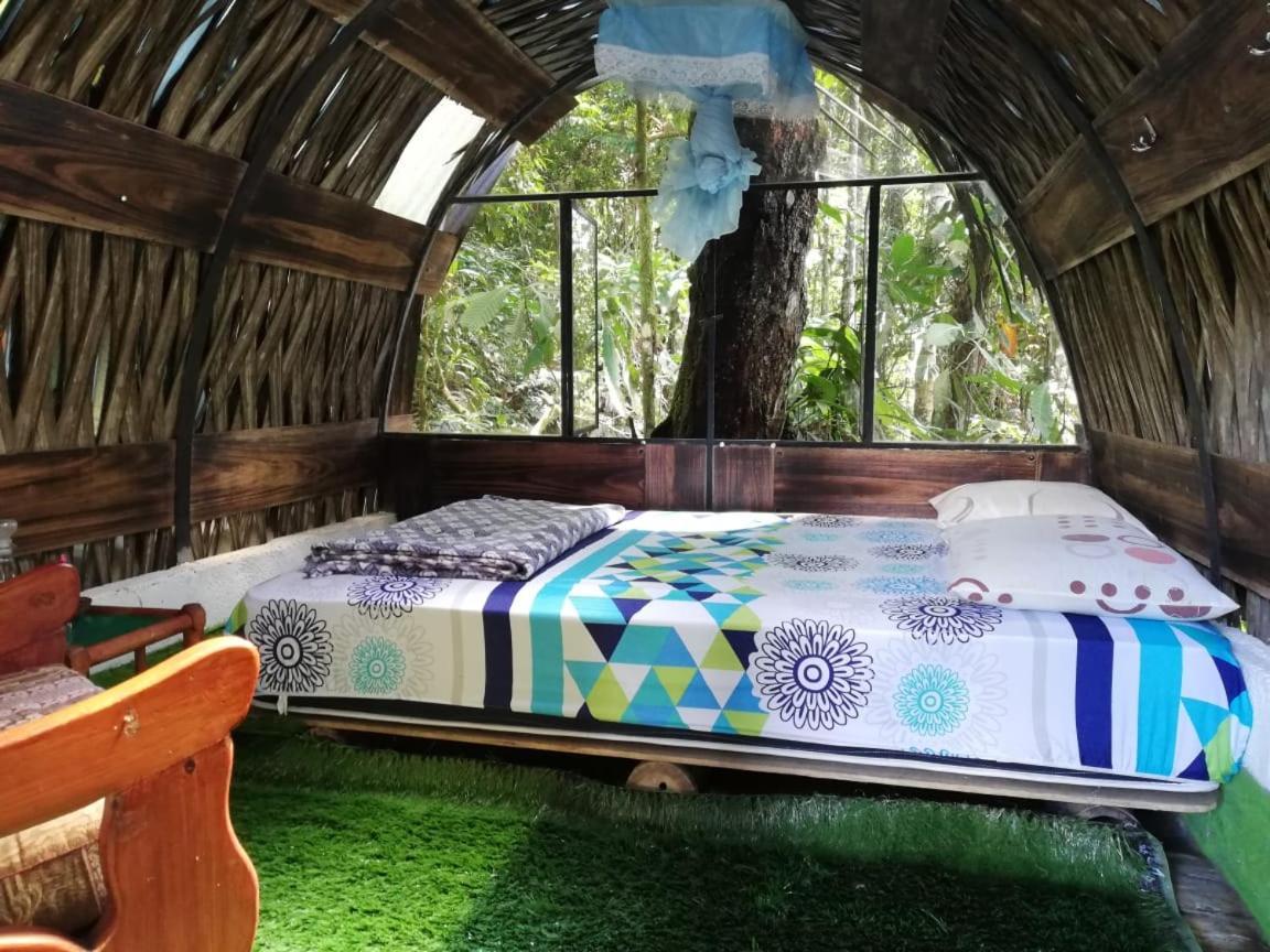 Jungle Roots Hotel Tena Kültér fotó