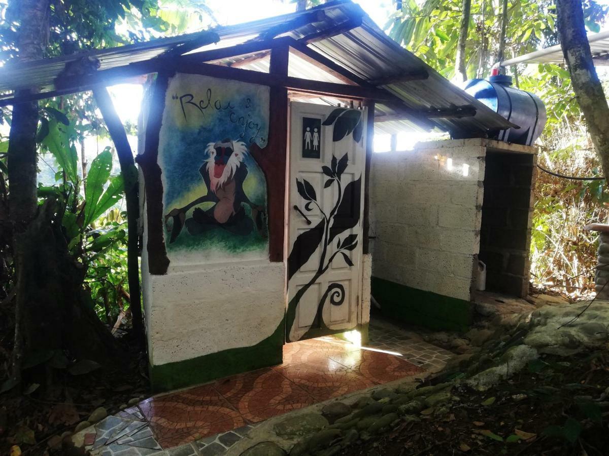 Jungle Roots Hotel Tena Kültér fotó