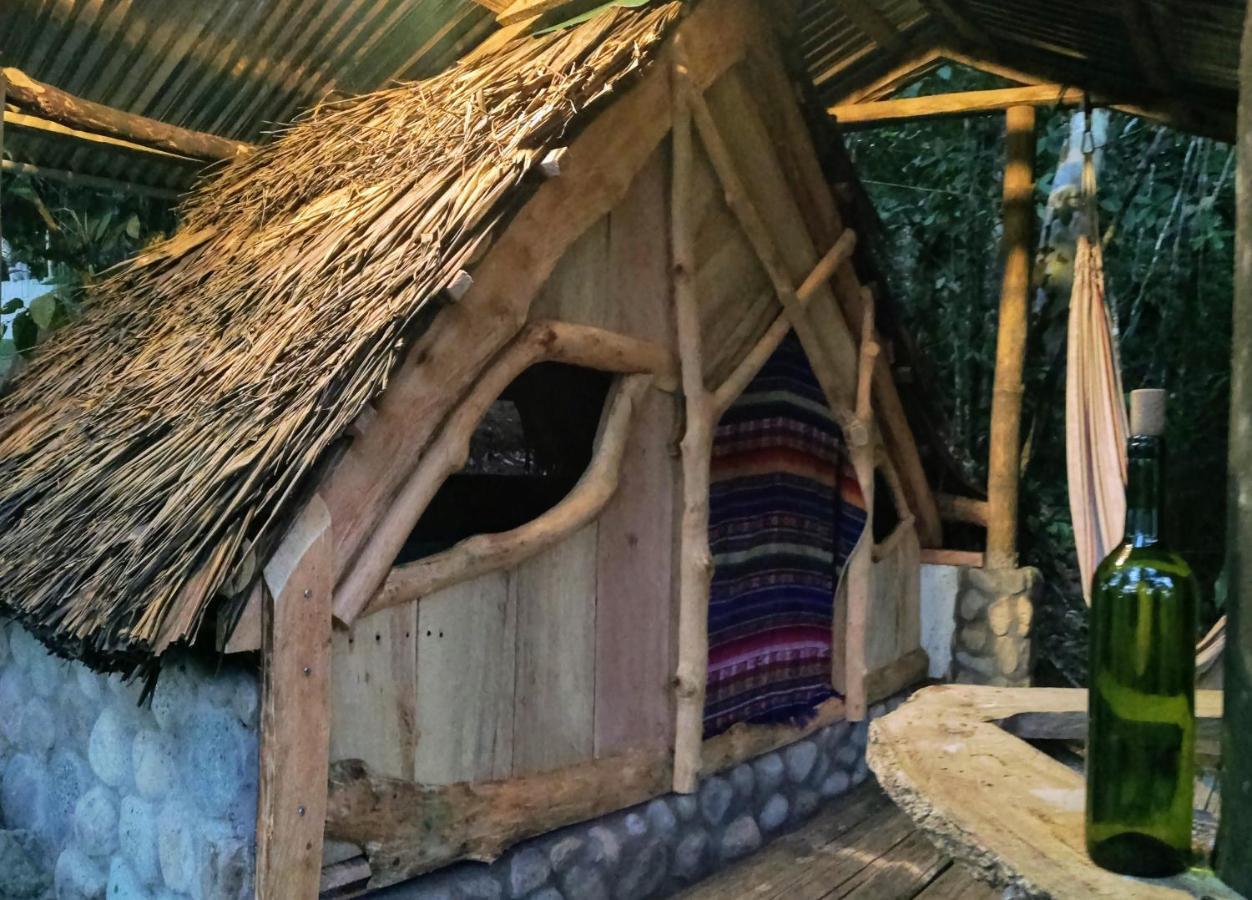 Jungle Roots Hotel Tena Kültér fotó